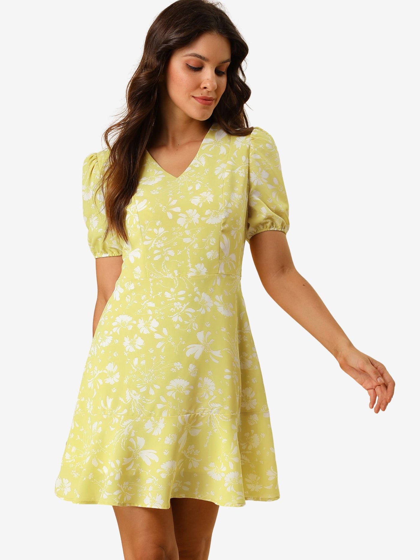 Allegra K Floral Ruffle Hem V Neck A-Line Short Sleeve Chiffon Mini Dress