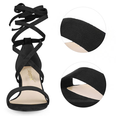 Faux Suede Open Toe Lace Up Mid Chunky Heel Sandals