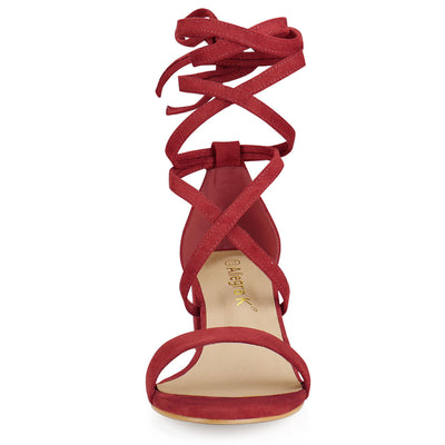 Faux Suede Open Toe Lace Up Mid Chunky Heel Sandals
