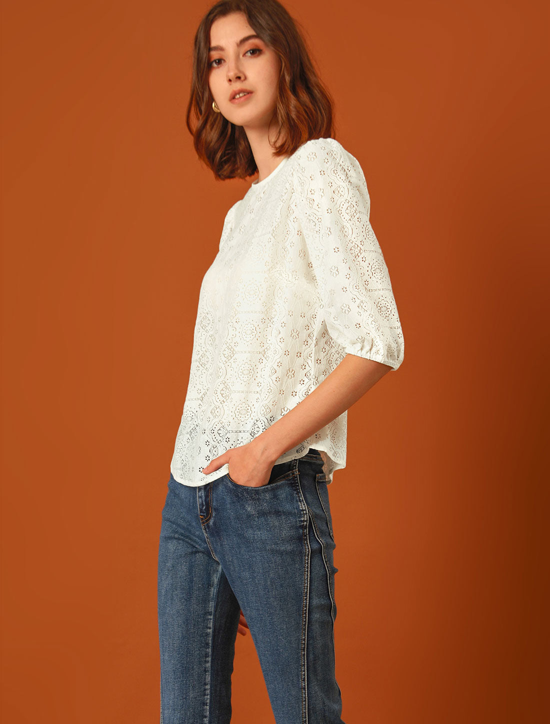 Allegra K Sheer Puff Sleeve Retro Embroidery Tops Lace Blouse