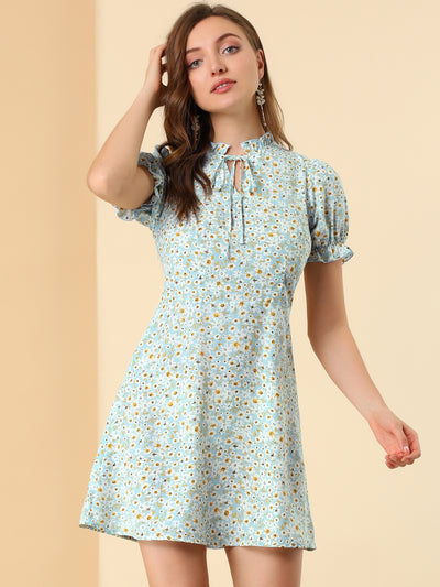 Ditsy Floral Ruffled Vintage Puff Sleeve Flare Mini Dress