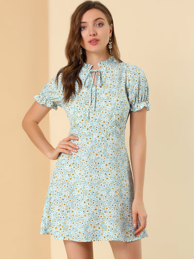 Ditsy Floral Ruffled Vintage Puff Sleeve Flare Mini Dress