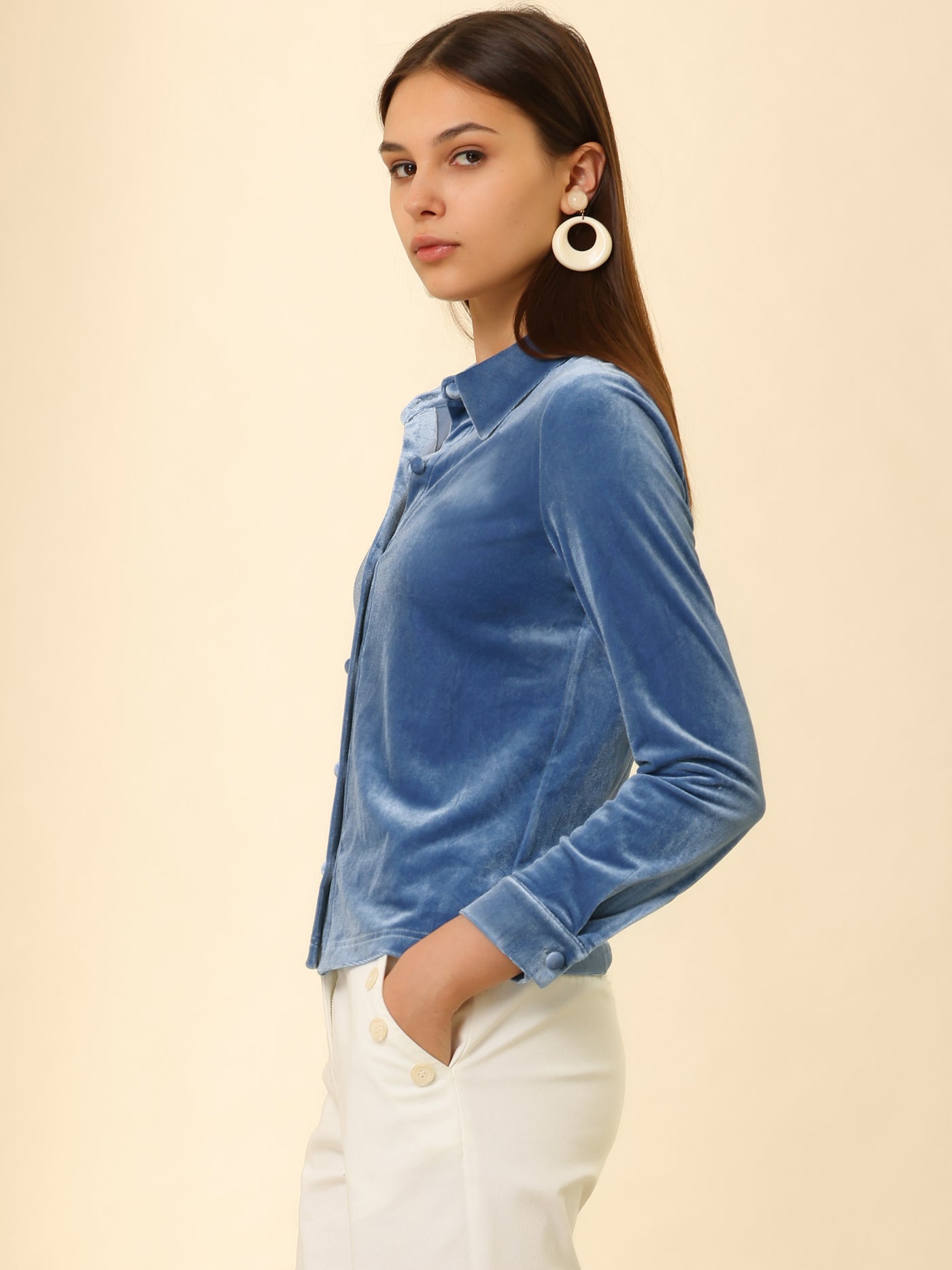 Allegra K Point Collar Velvet Blouse Long Sleeve Button Up Shirt