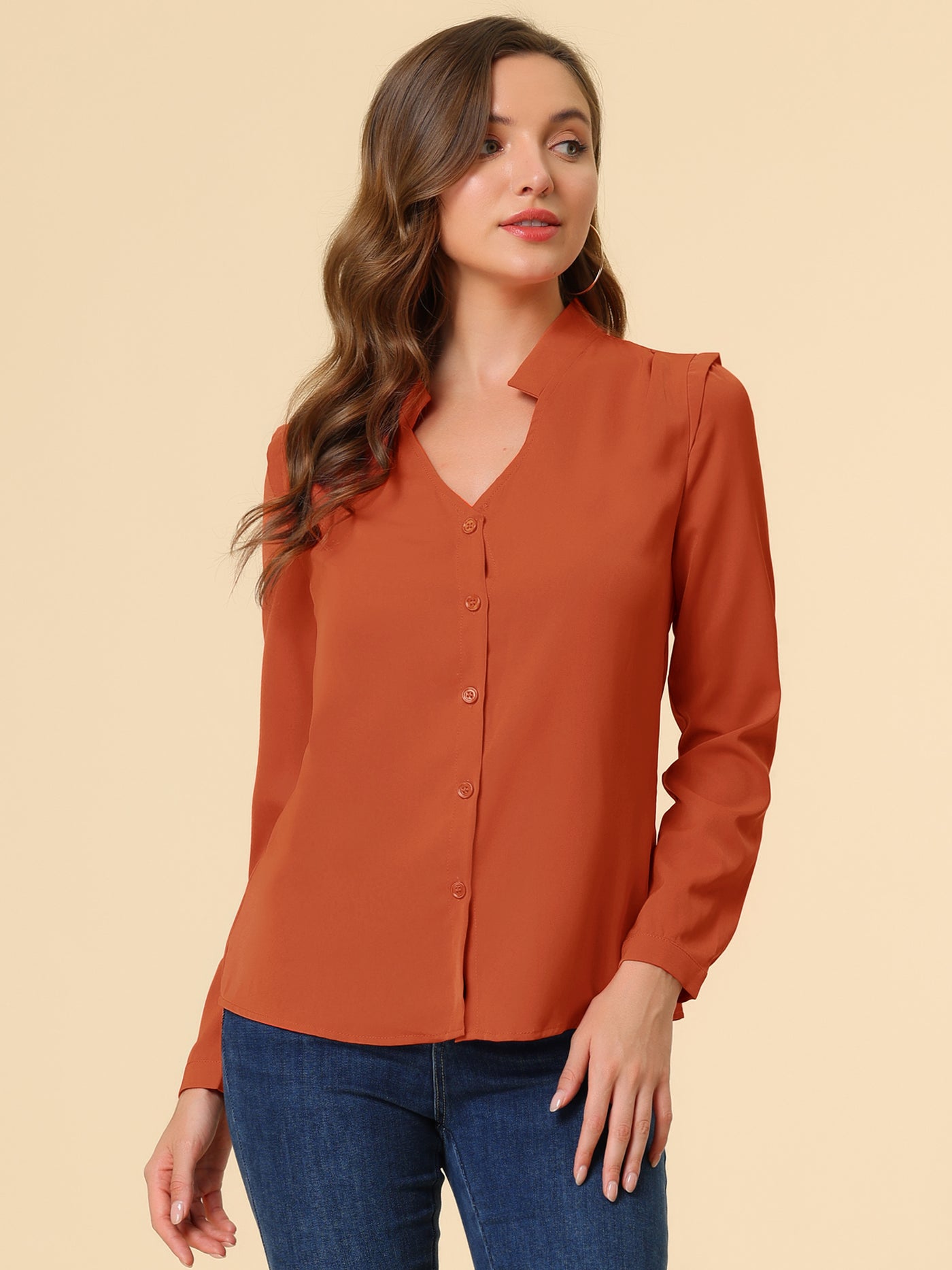 Allegra K Work Office Blouse Button Up Long Sleeve V Neck Chiffon Shirt