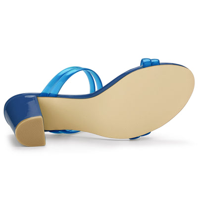 TPU Clear Strappy Slide Mule Block Heel Sandal