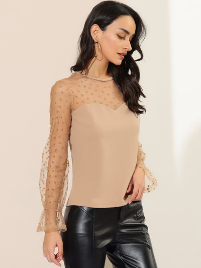Lace Round Neck Heart Dots Sheer Blouse Long Mesh Sleeve Top