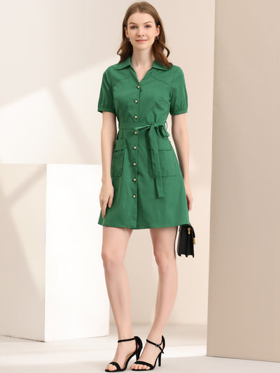 Turn Down Collar Tie Belted Button Short Sleeve Office Dress