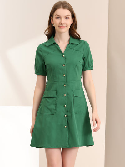 Turn Down Collar Tie Belted Button Short Sleeve Office Dress