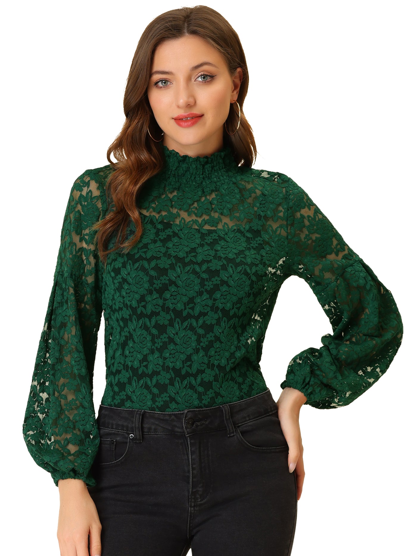 Allegra K Floral Lace Top Turtleneck Puff Long Sleeve See Through Sheer Blouse
