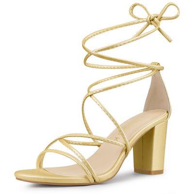 Strappy Strap Lace Up Mid Chunky Heel Sandals