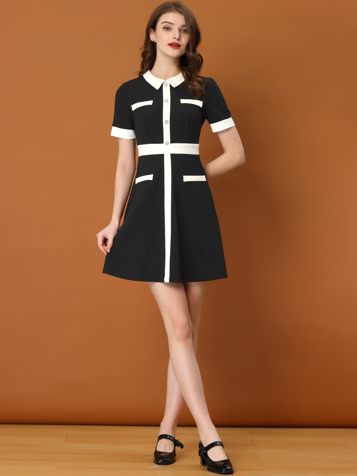 Allegra K Vintage Lapel Short Sleeve Contrast Color Fit and Flare Dress