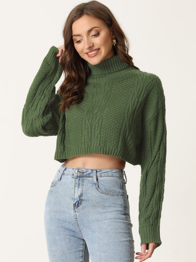 Turtle Neck Long Sleeve Knitted Pullover Sweater Cropped Tops