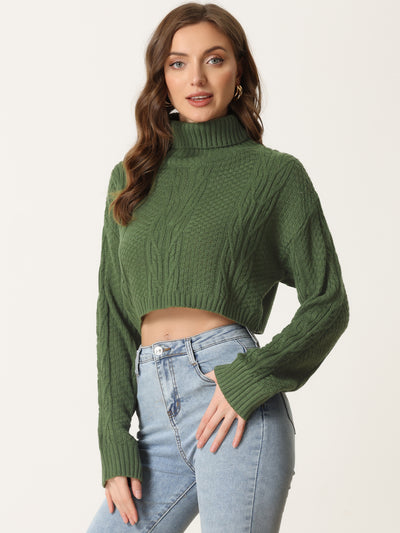 Turtle Neck Long Sleeve Knitted Pullover Sweater Cropped Tops
