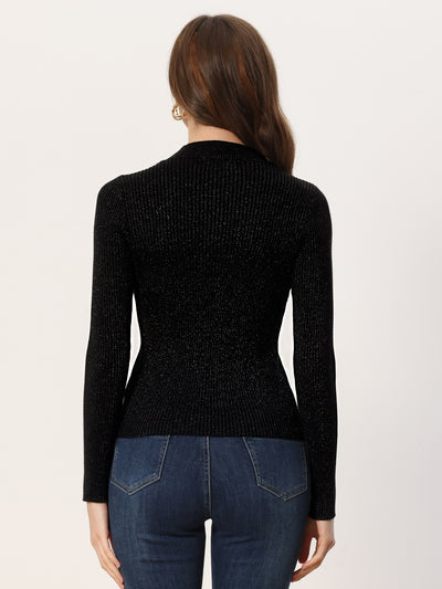 Shiny Turtleneck Long Sleeve Ribbed Knit Pullover Sweater