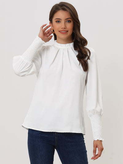 Chiffon Ruffle Collar Frill Trim Solid Color Long Sleeve Blouse