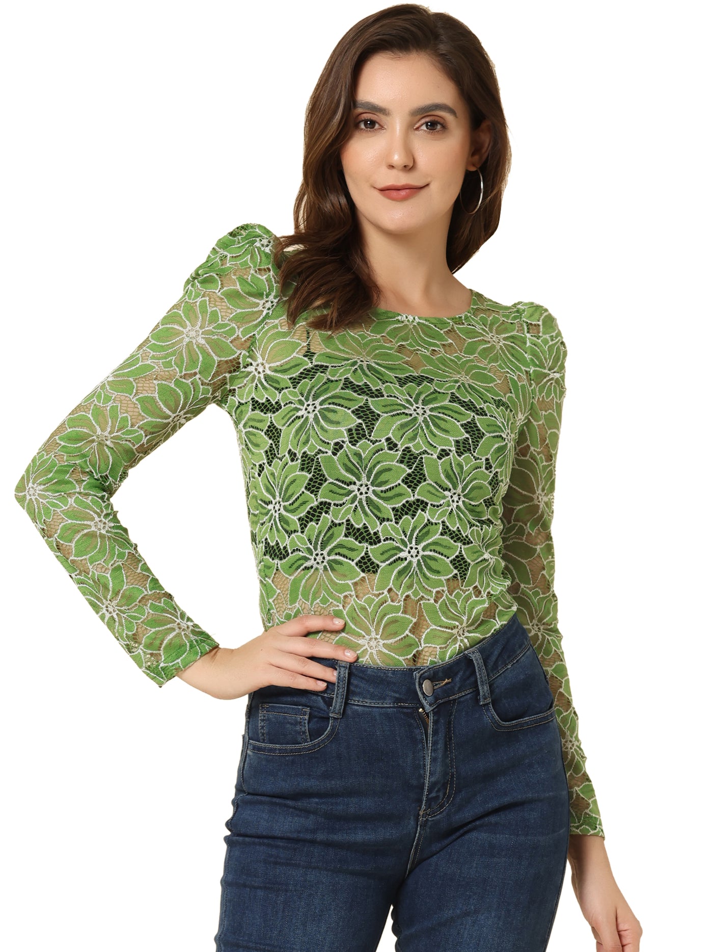 Allegra K Retro Semi Sheer Puff Long Sleeve Embroidery Lace Blouse
