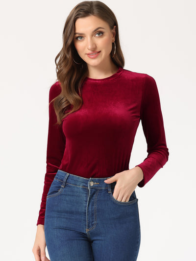 Casual Round Neck Stretchy Long Sleeve Velvet Solid Blouse
