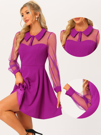 Cocktail Party Sheer Mesh Panel Long Sleeve Mini A-Line Dress