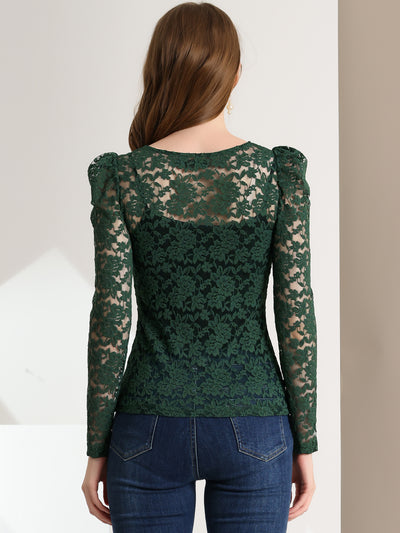 Retro Semi Sheer Puff Long Sleeve Embroidery Lace Blouse
